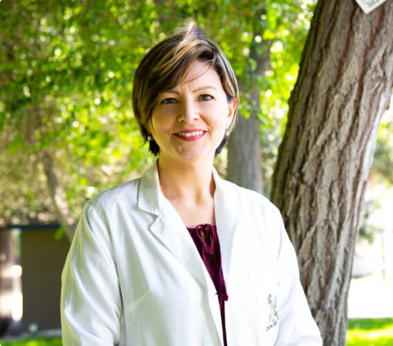 السياحة الطبية 